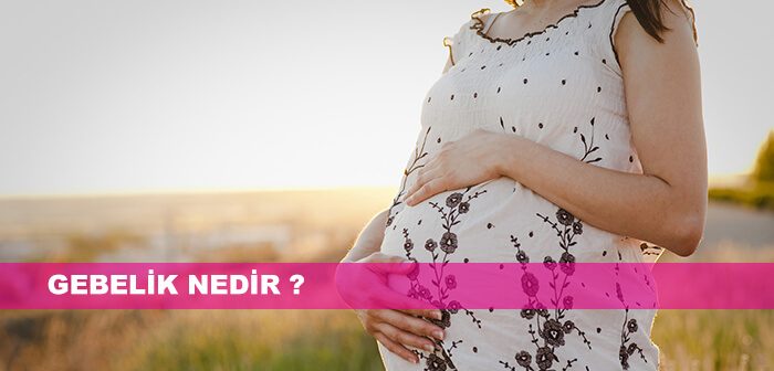 Gebelik Nedir